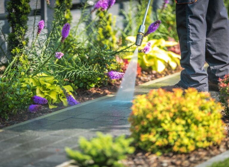 spring-cleaning-Service-2